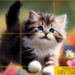 퍼즐 슬라이딩 새끼 고양이